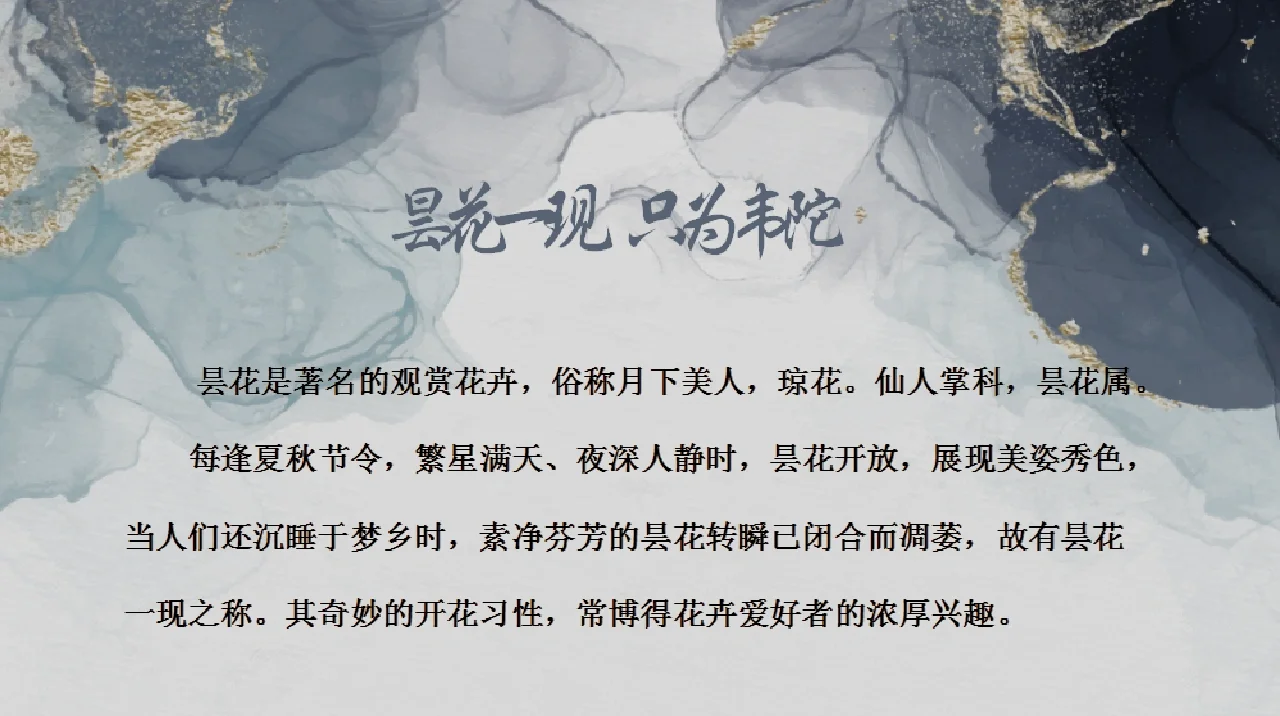 昙花一现只为韦陀诗句