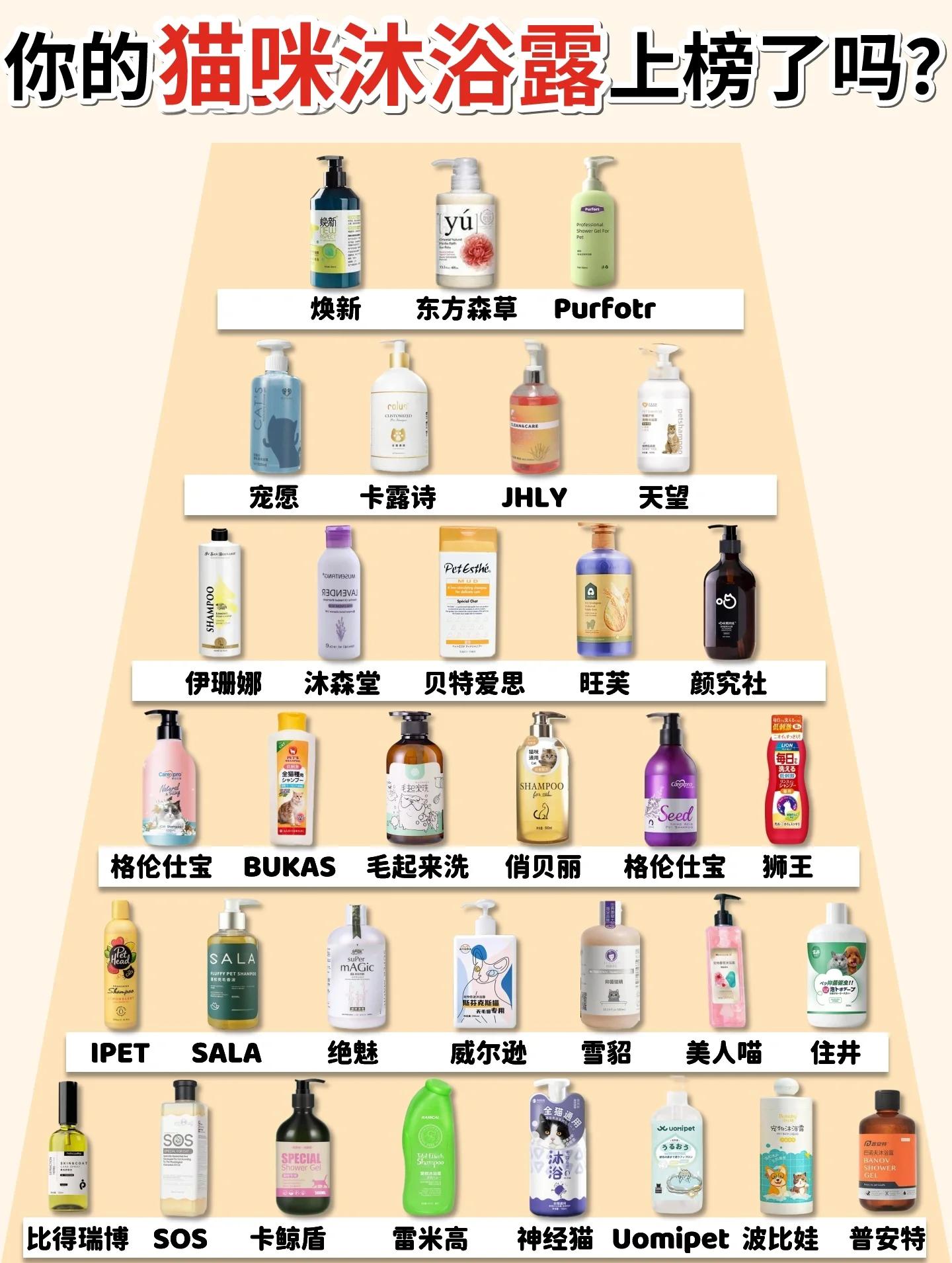 没有猫沐浴露怎么处理