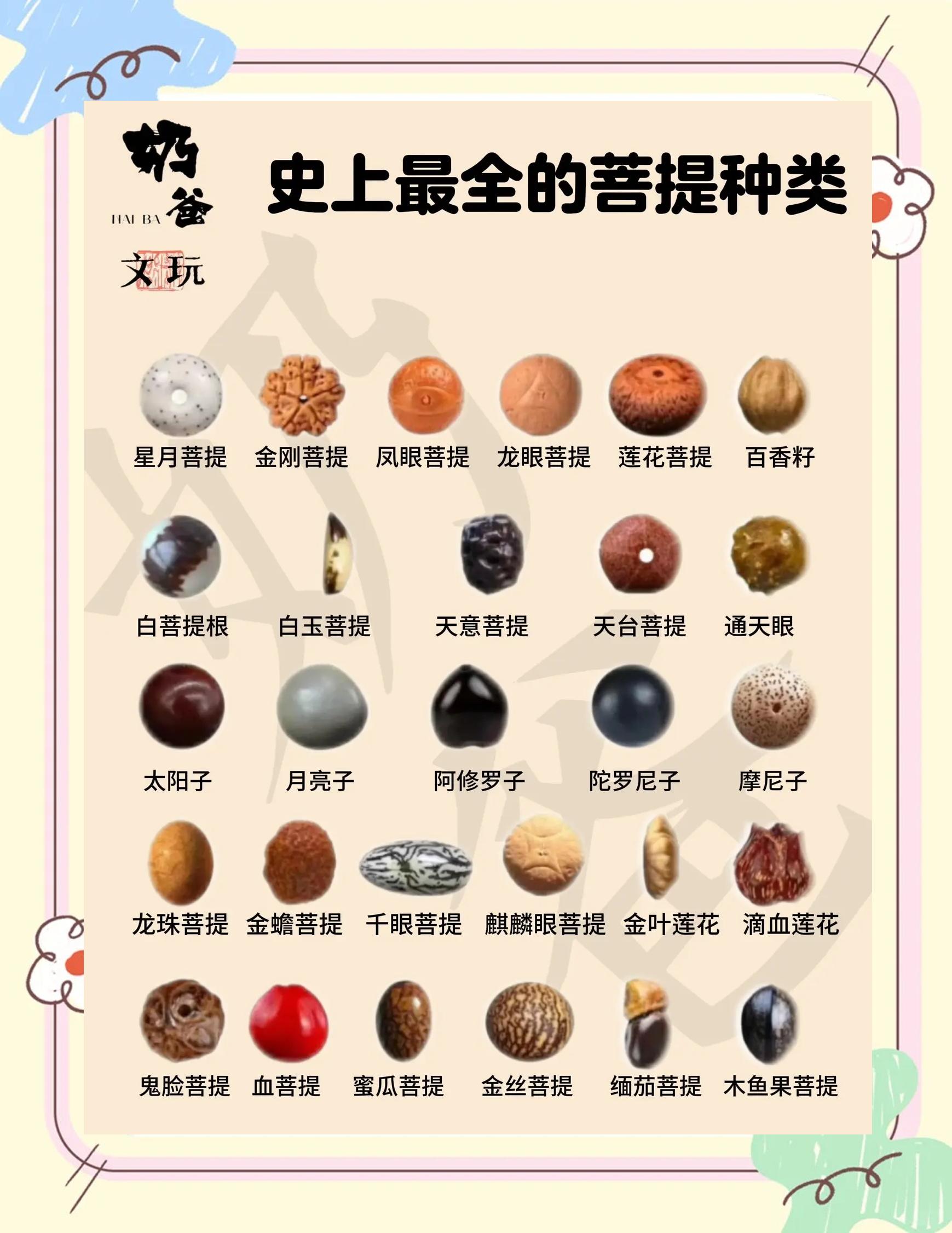 菩提子的作用