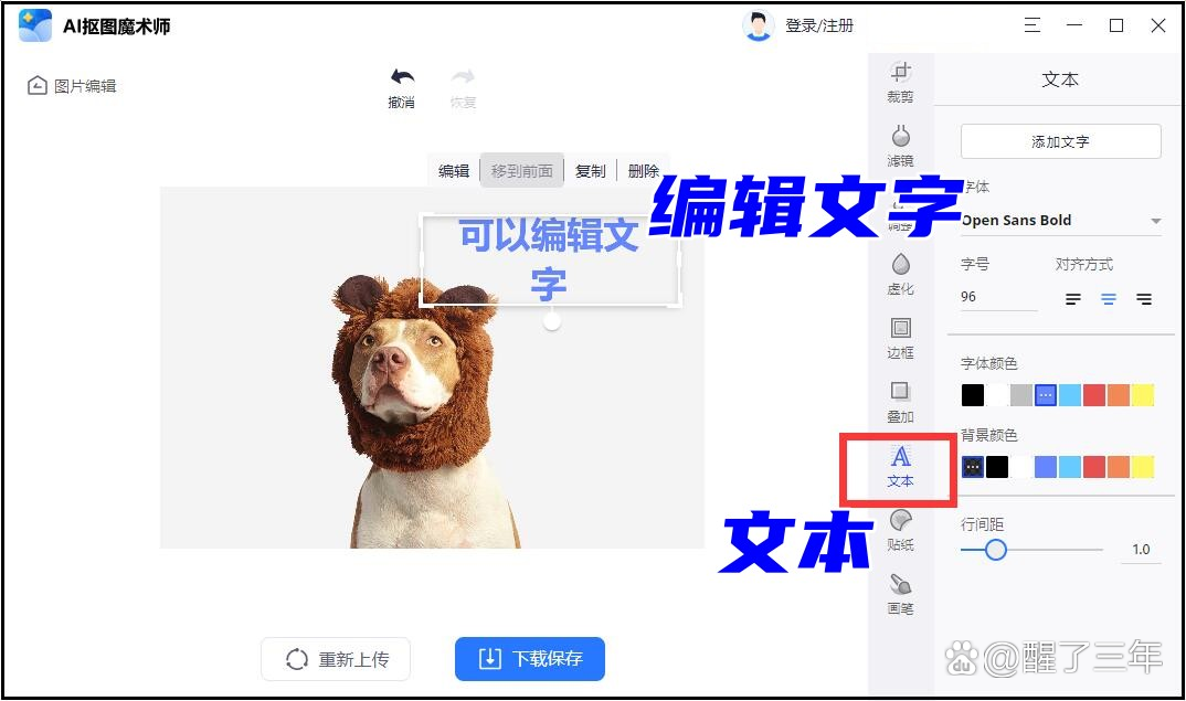 图片上怎么加文字