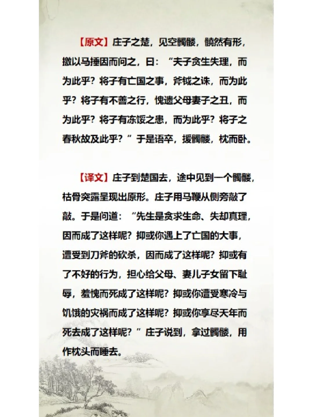 荒郊野地打一生肖