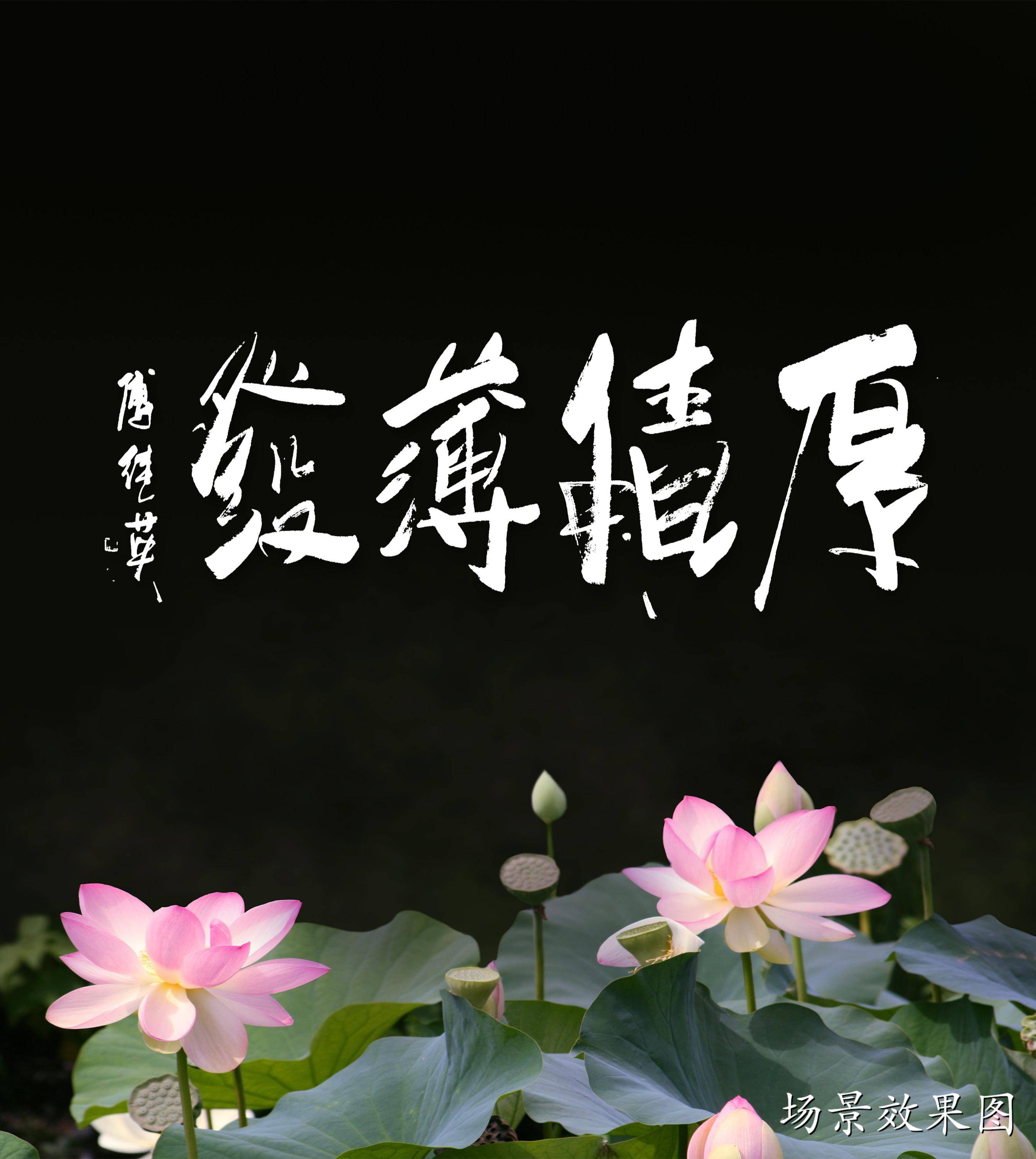 博观约取什么意思