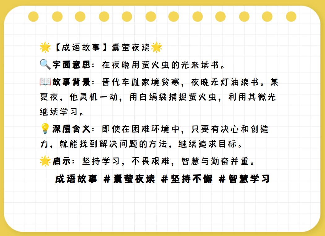 囊字开头成语