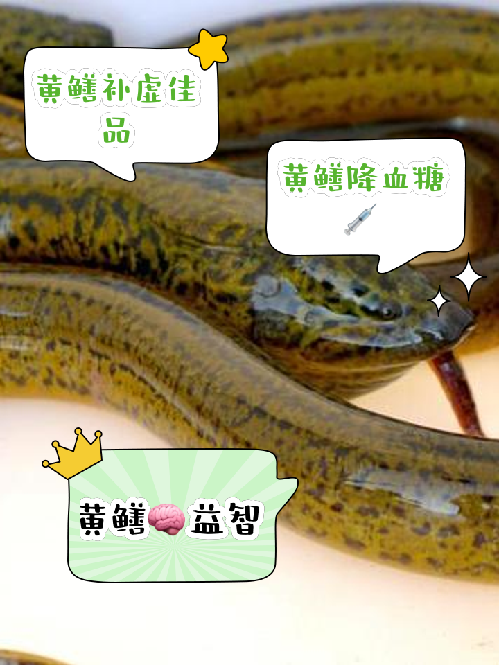 望月鳝能吃吗