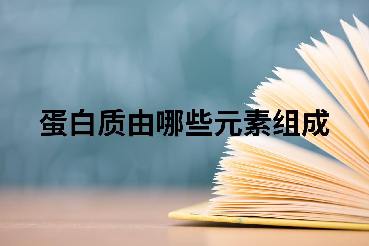 蛋白质含有的元素是什么