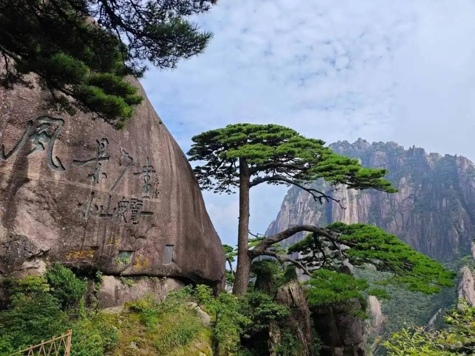 黄山和泰山的区别越详细越好