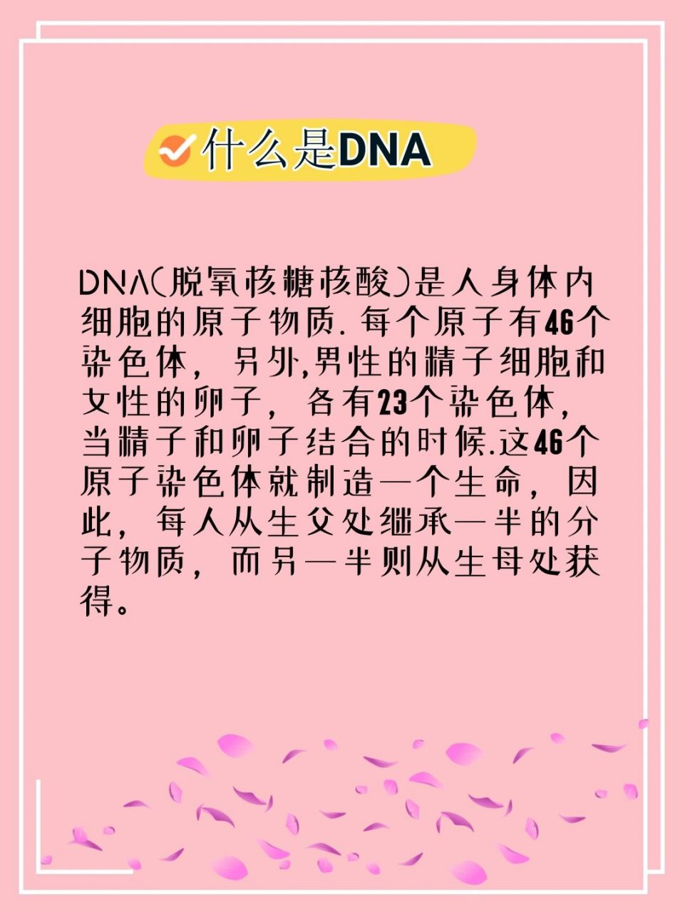 dna是什么