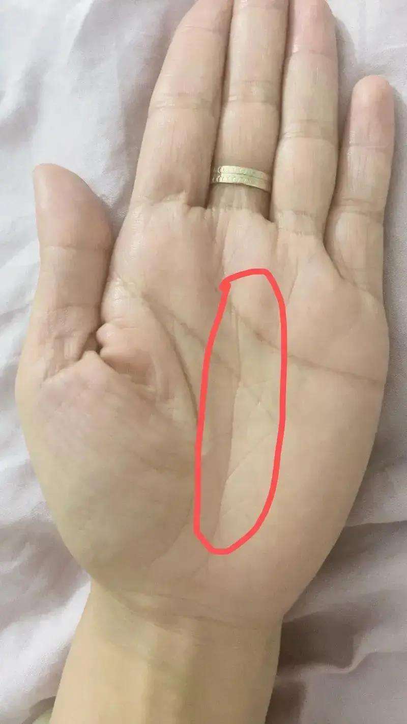 为什么不能随便看手相