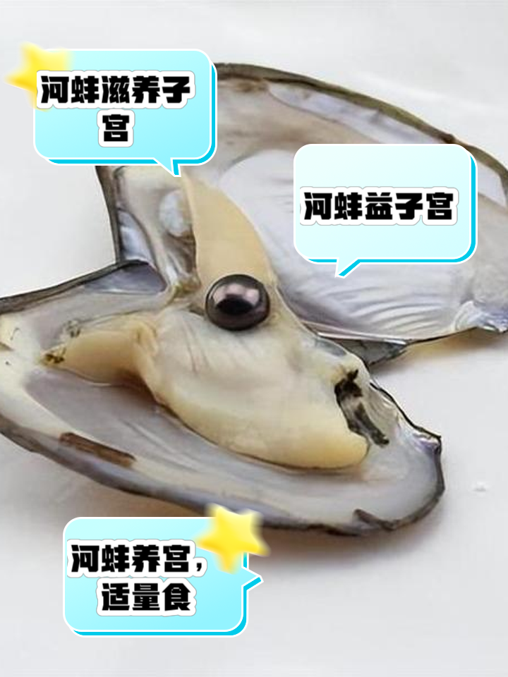 家里养河蚌喂什么