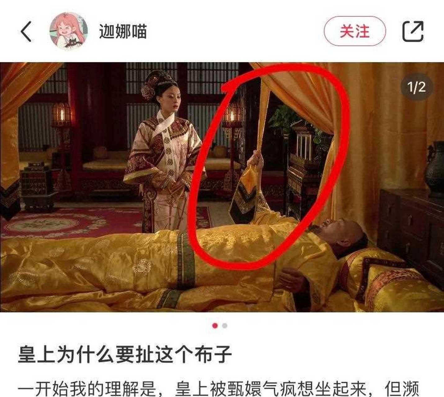 黄带子是什么