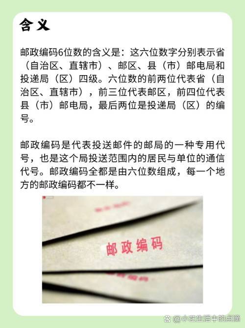 什么是编号