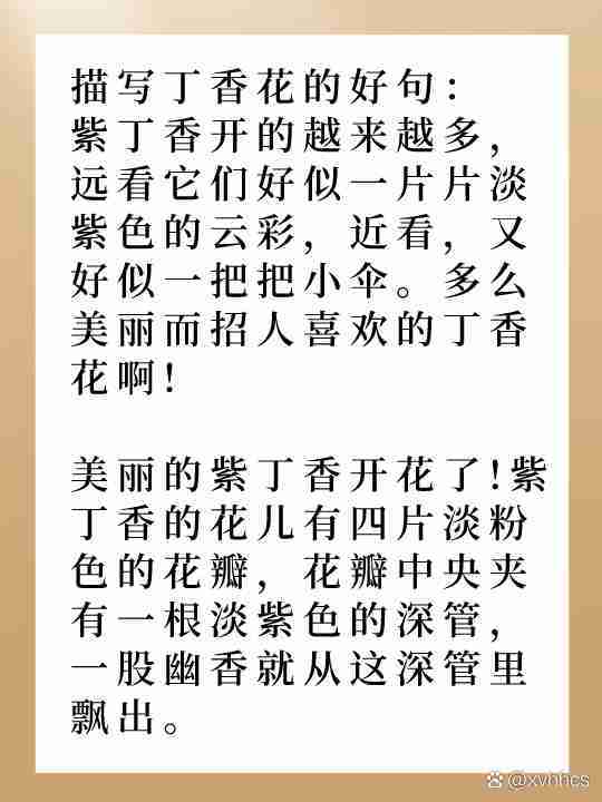 形容花的成语