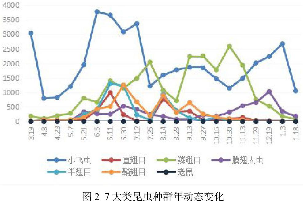 昆虫用什么方法调查种群密度