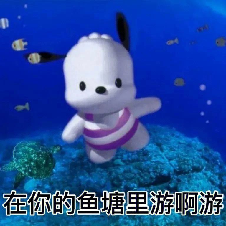 姐姐的鱼塘是什么梗