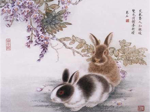 admin 第476页