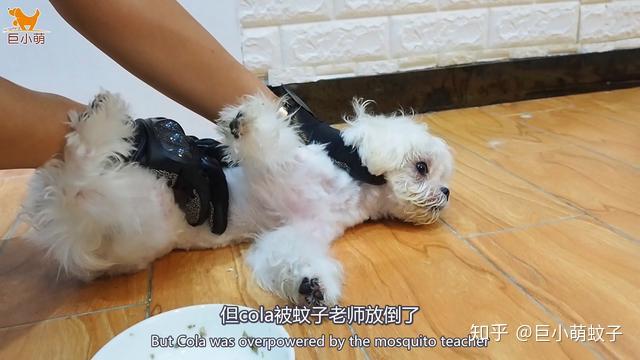 目露凶光是什么意思