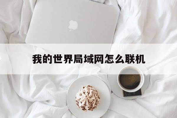 我的世界局域网怎么联机