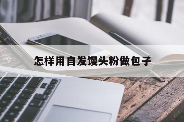 怎样用自发馒头粉做包子